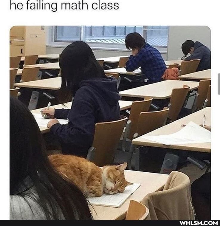 he failing math class