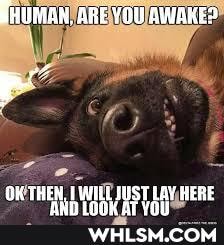 BHUMAH, ARE YOU AWAKES
ON THEN. I JUST LAVJHERE