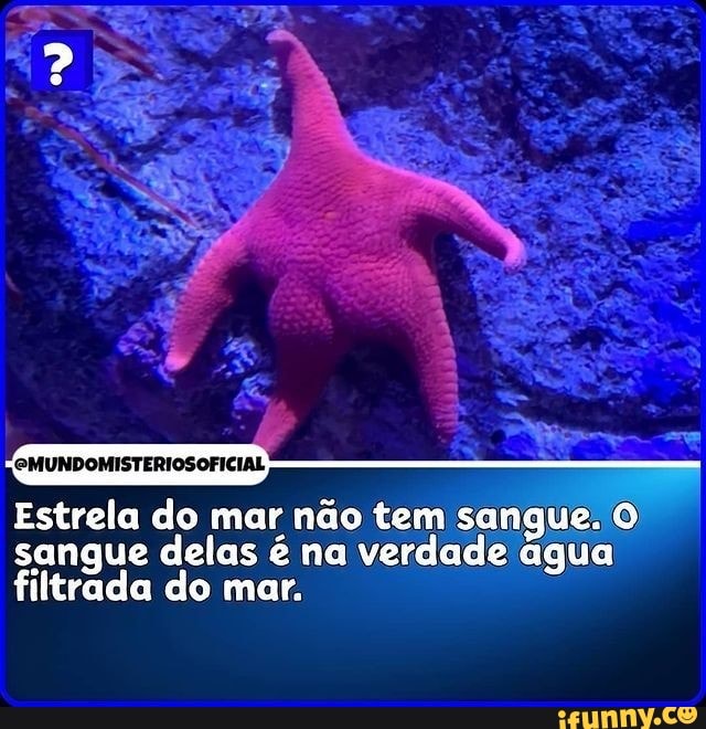 PMUNDOMISTERIOSOFICIAL
Estrela do mar não tem sangue. O sangue delas é na verdade água filtrada do mar.