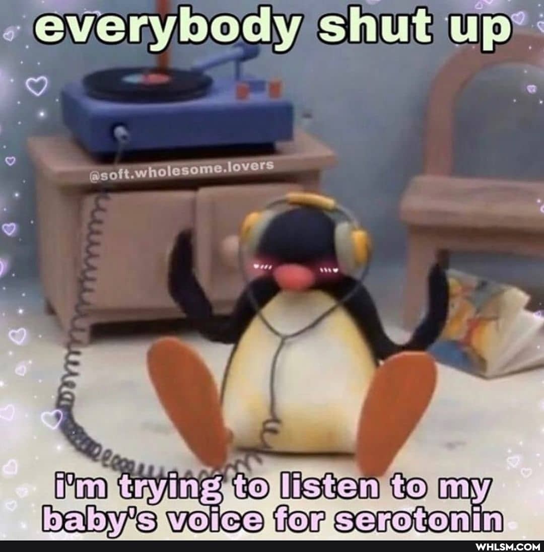 everybody, shut shut up*: y shut up*
@soft.wholesome.lovers