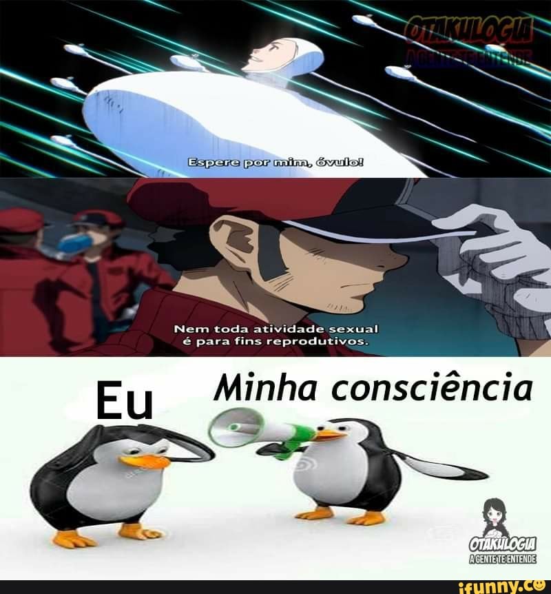 Nem toda atividade sexual é para fins reprodutivo:
Eu Minha consciência