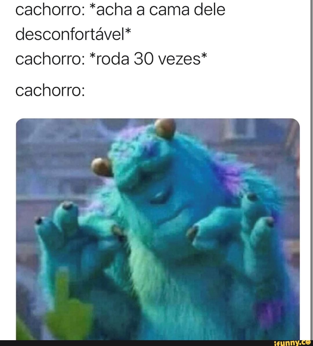 cachorro: *acha a cama dele desconfortável* cachorro: *roda 30 vezes*
cachorro: