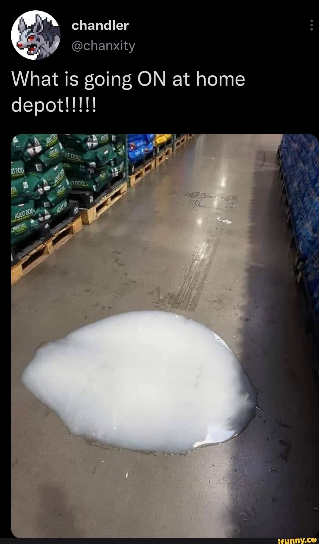 Chandler Tel Tap Dis What Is Going On At Home Depot