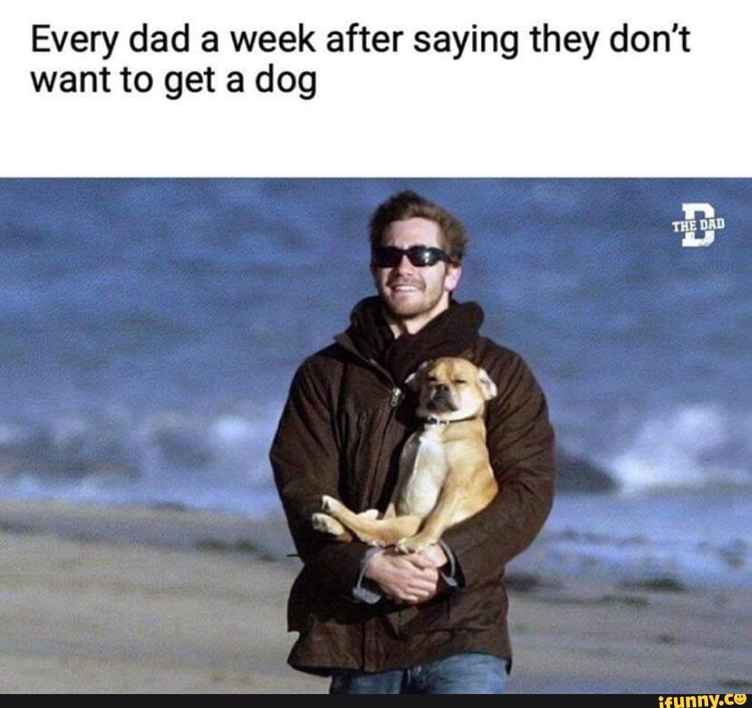 Every dad a week after saying they don't want to get a dog
DAD