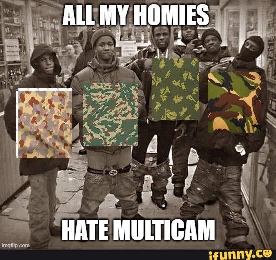 ALL HOMIES HATE MULTICAM - iFunny Brazil