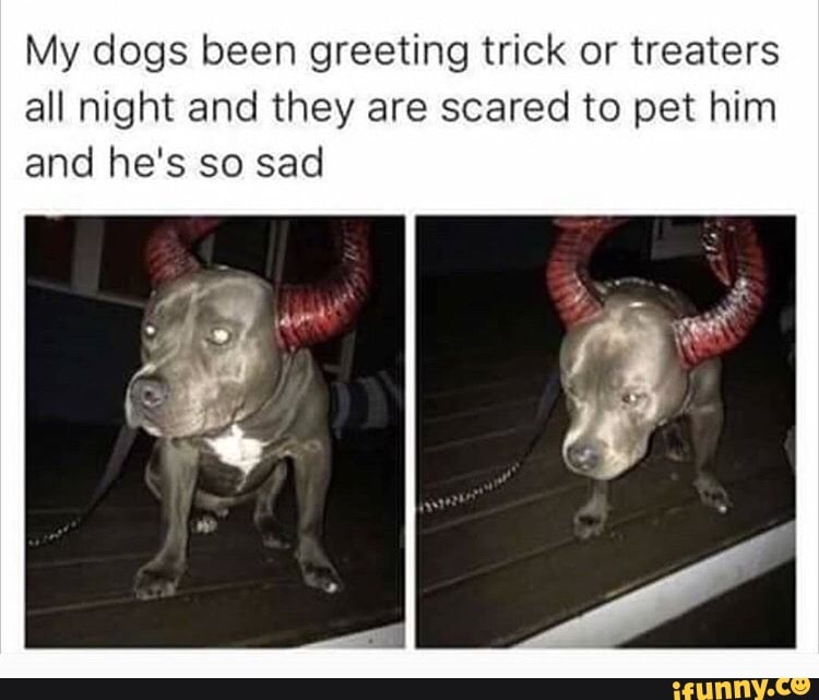 My dogs been greeting trick or treaters
all night and they are scared to pet him
and he's so sad