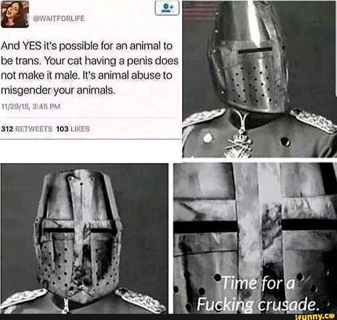 GWAITFORLIFE
And YES it's possible for an animal to
be trans. Your cat having a penis does
not make it male. It's animal abuse to
misgender your animals.
312. RETWEETS 103 LIKES