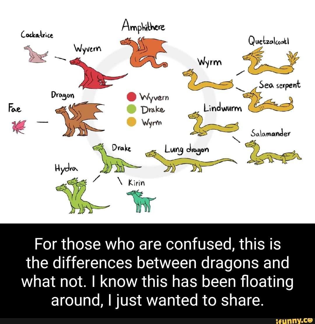 Armphithere tzalcoatl = Wyrm Sea serpent Salamander Drogon Wyvern Foe