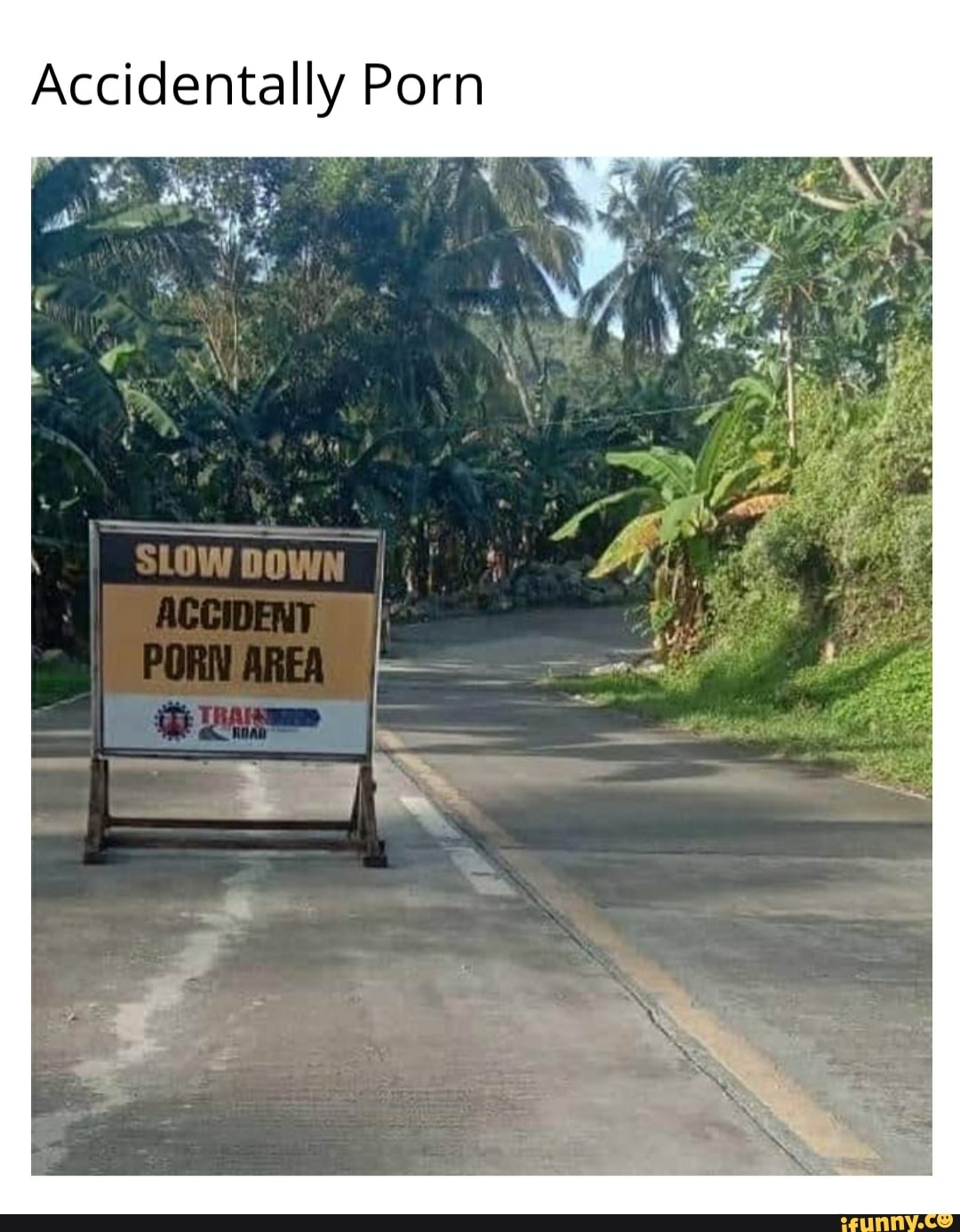 Accidentally Porn - iFunny