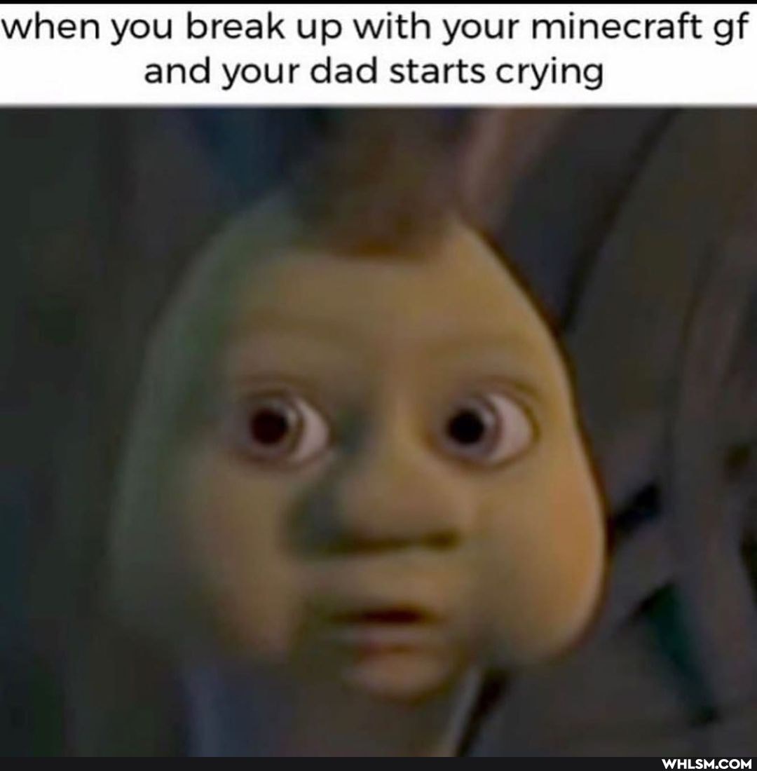 when you break up with your minecraft of
and your dad starts crying