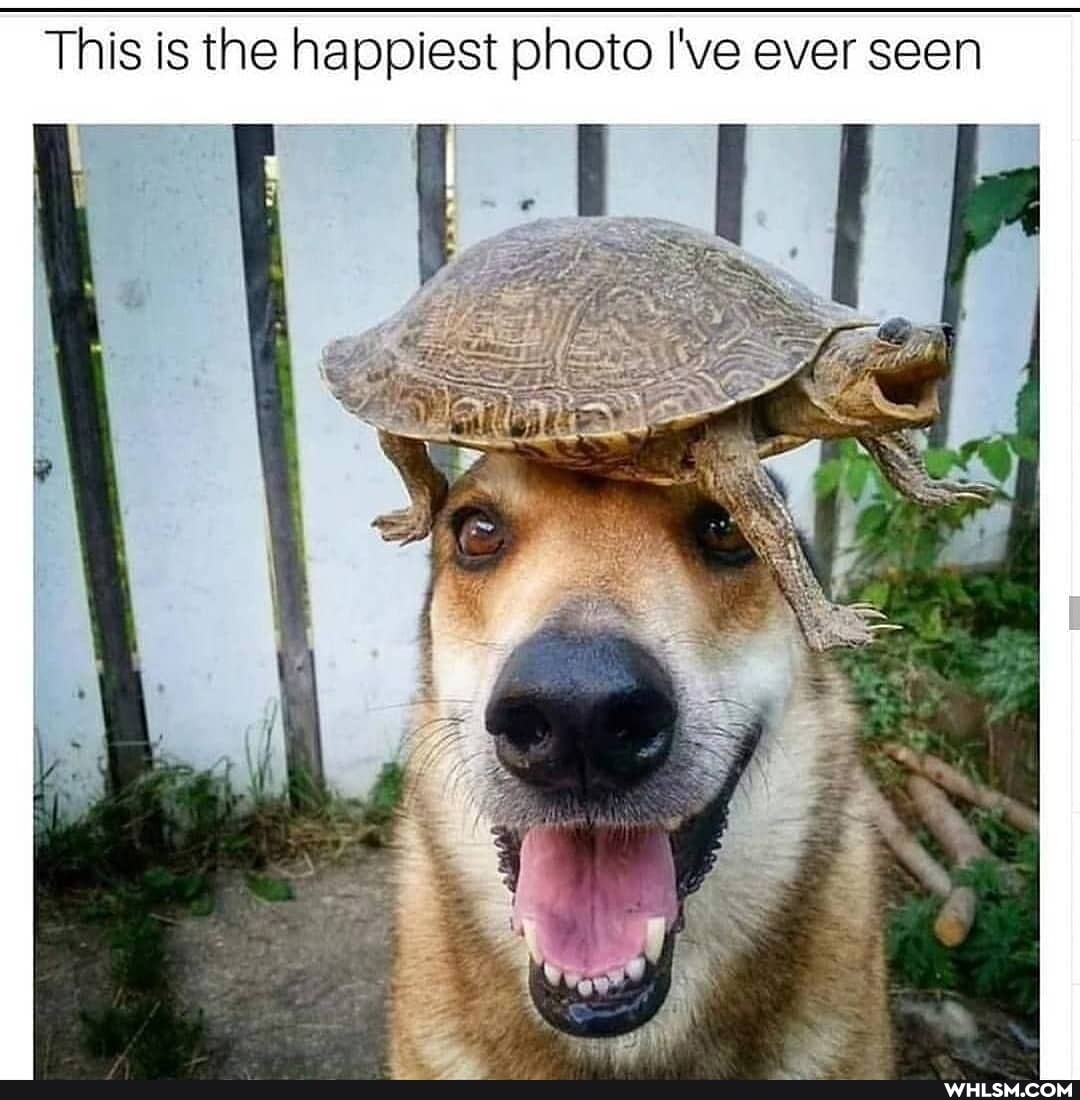 This is the happiest photo I've ever seen