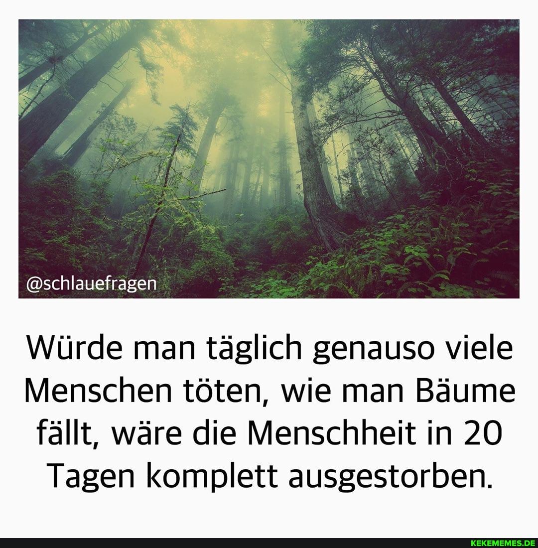 @schlauefragen
Würde man täglich genauso viele
Menschen töten, wie man Bäume fällt, wäre die Menschheit in 20
Tagen komplett ausgestorben.