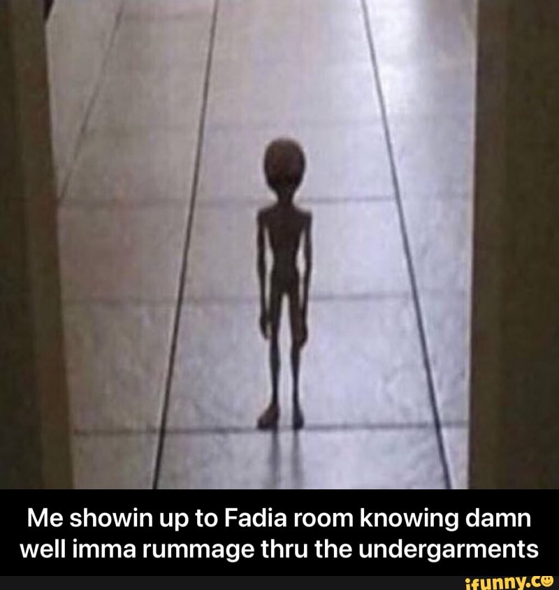 Me showin up to Fadia room knowing damn well imma rummage thru the undergarments - Me showin up to Fadia room knowing damn well imma rummage thru the undergarments