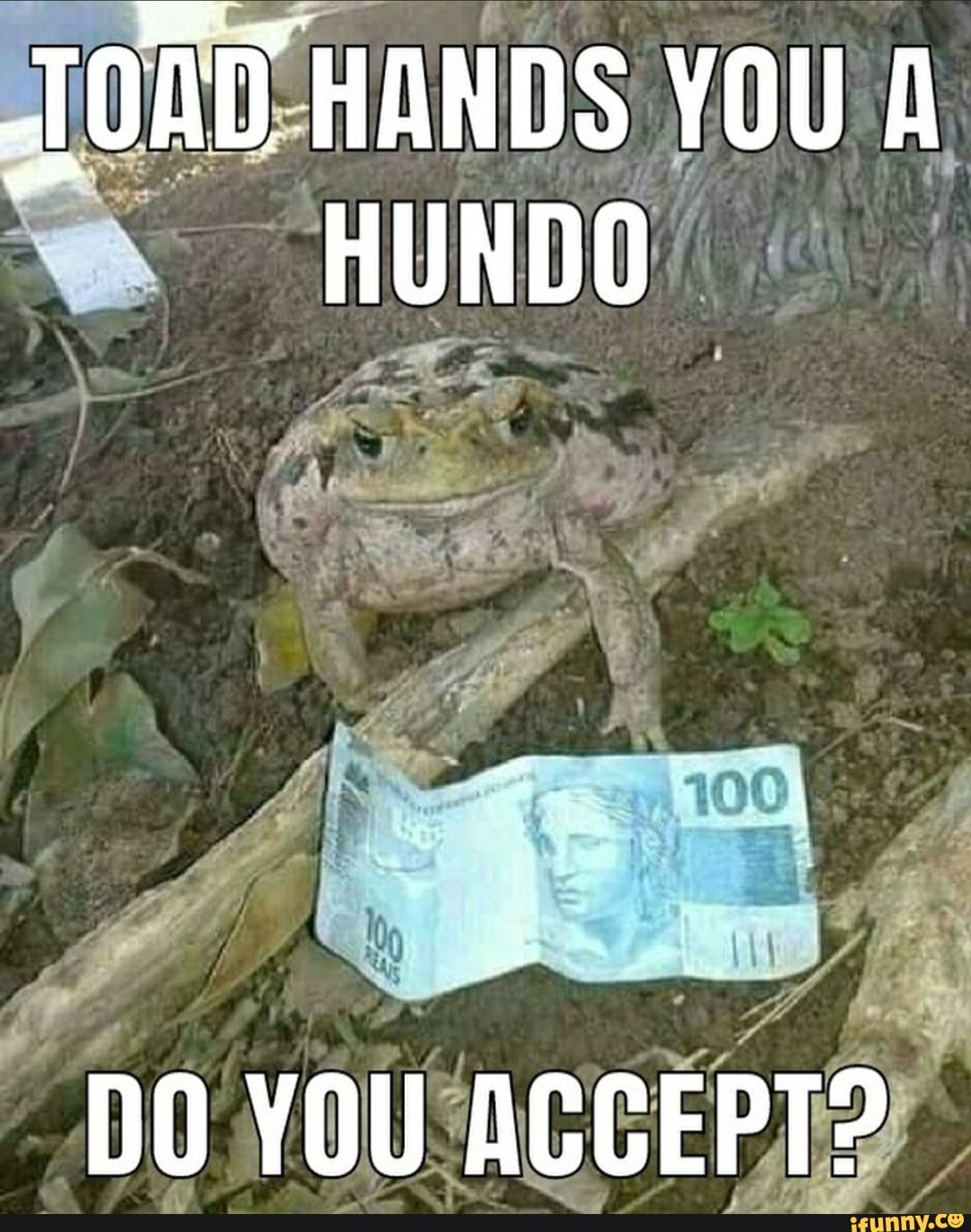 HANDS YOU A HUNDO
DO YOU ACCEPT?