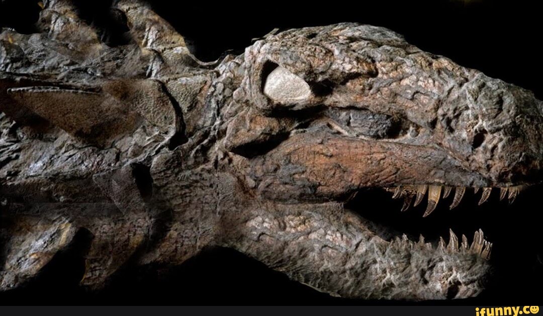 One of the bestpreserved dinosaurs ever discovered. This fossilized