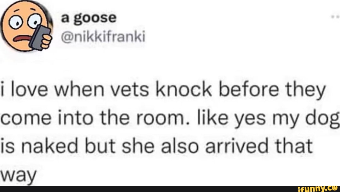 goose i love when vets knock before they come into the room. like yes my dog is naked but she also arrived that way