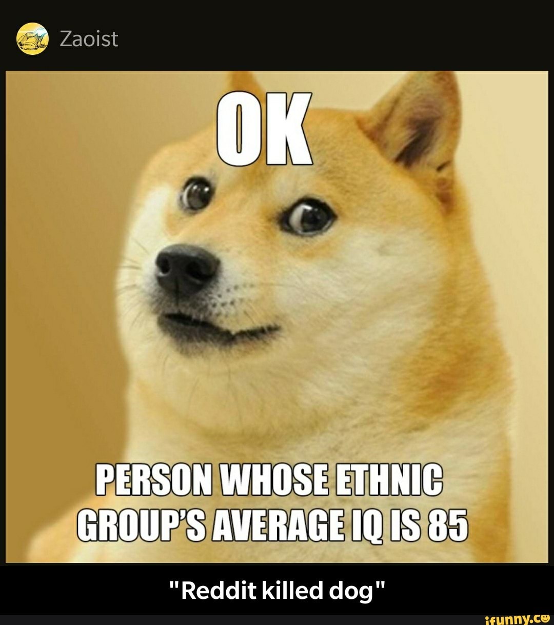 dog average iq