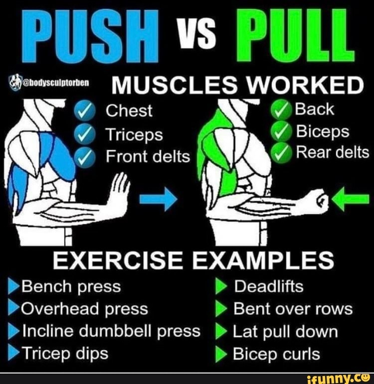 PUSH US PULL MUSCLES WORKED Chest Back Triceps Biceps Front delts