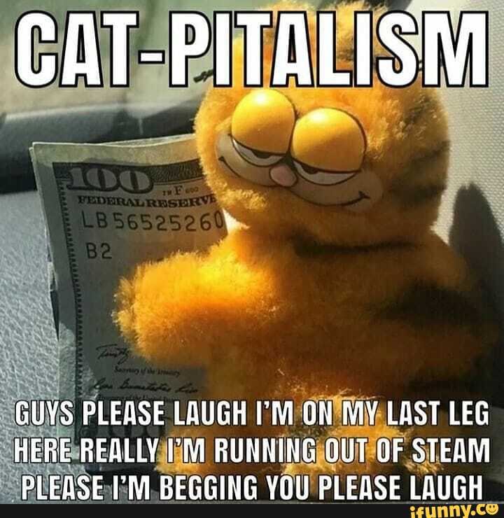 CAT-PITALISM
GUYS PLEASE LAUGH I'M ON MY LAST LEG HERE REALLY RUNNING OUT OF STEAM
BHICHACL VRRA BPEACRING VAIL DICACC