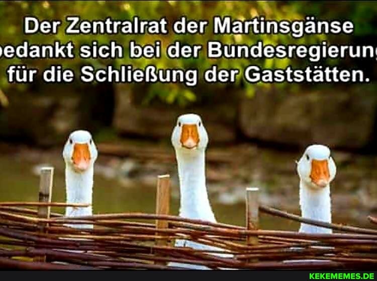 Der Zentralrat der Martinsganse dankt sich bei der Beider Bundesregierun für die Schließung der Gaststätten.