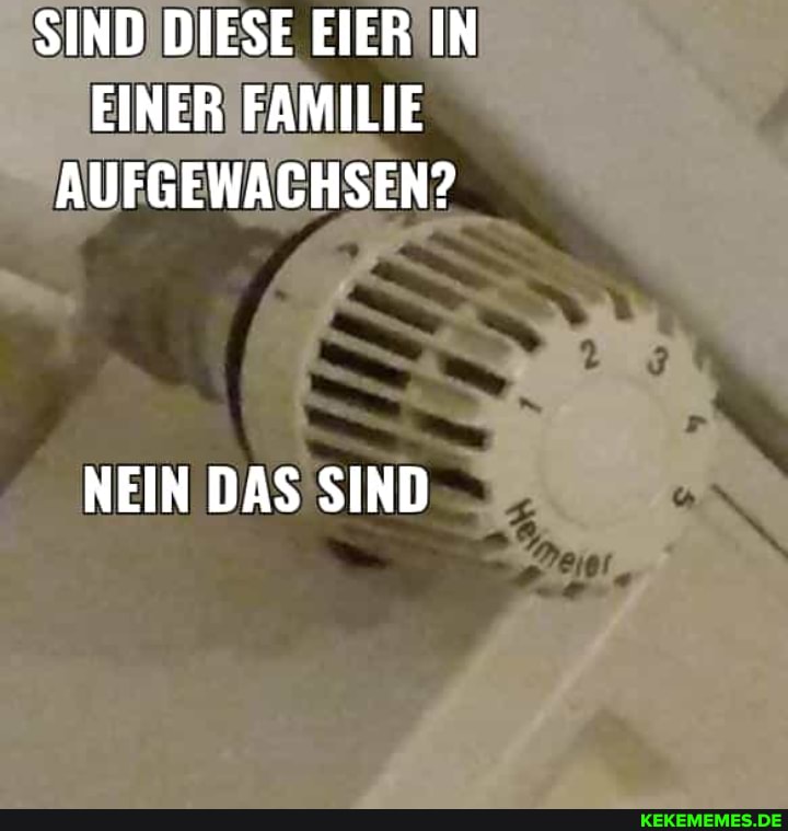 SIND DIESE EIER IN EINER FAMILIE AUFGEWACHSEN?
NEIN DAS SIND