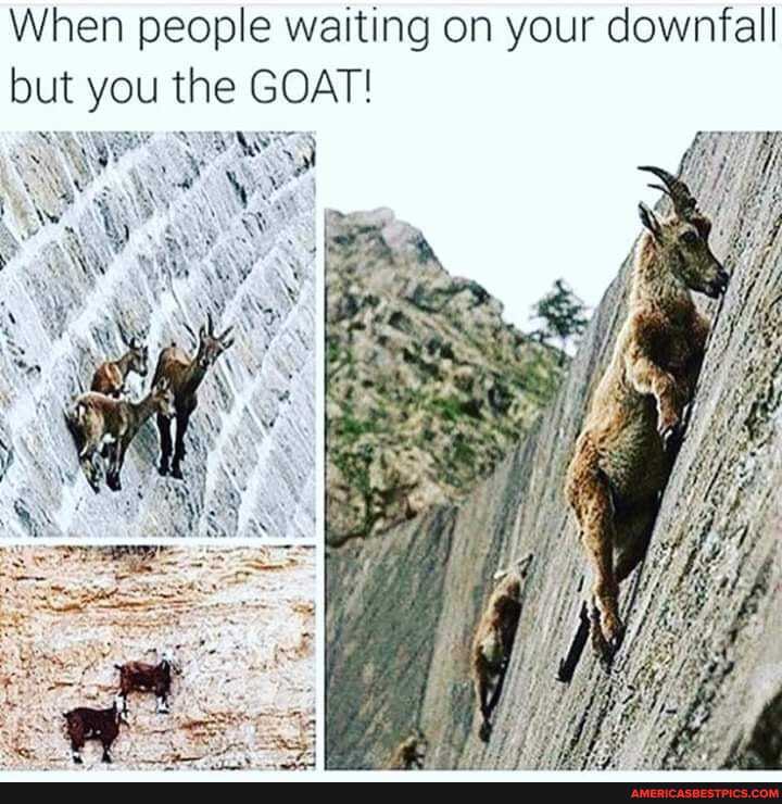When people waiting on your downfall
but you the GOAT!