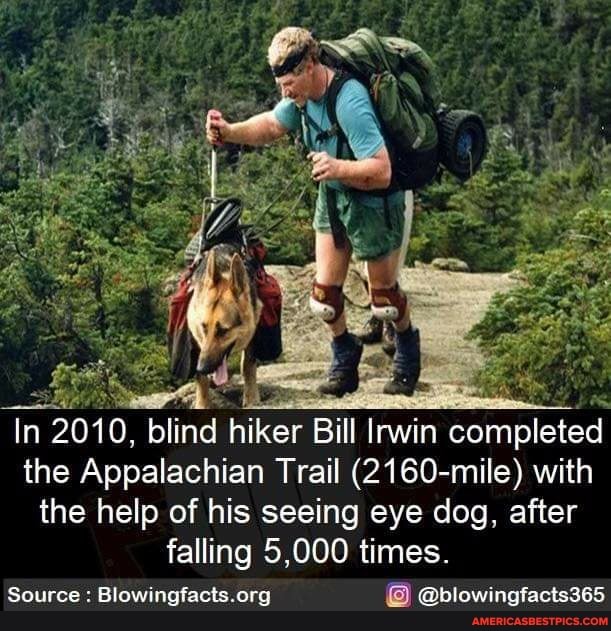 te
In 2010, blind hiker Bill Irwin completed the Appalachian Trail (2160-mile) with
the help of his seeing eye dog, after
falling 5,000 times.
Source : @ @blowingfacts365