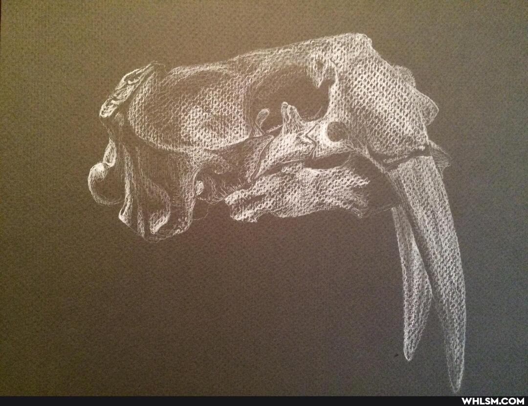 artcrawl, art, drawings