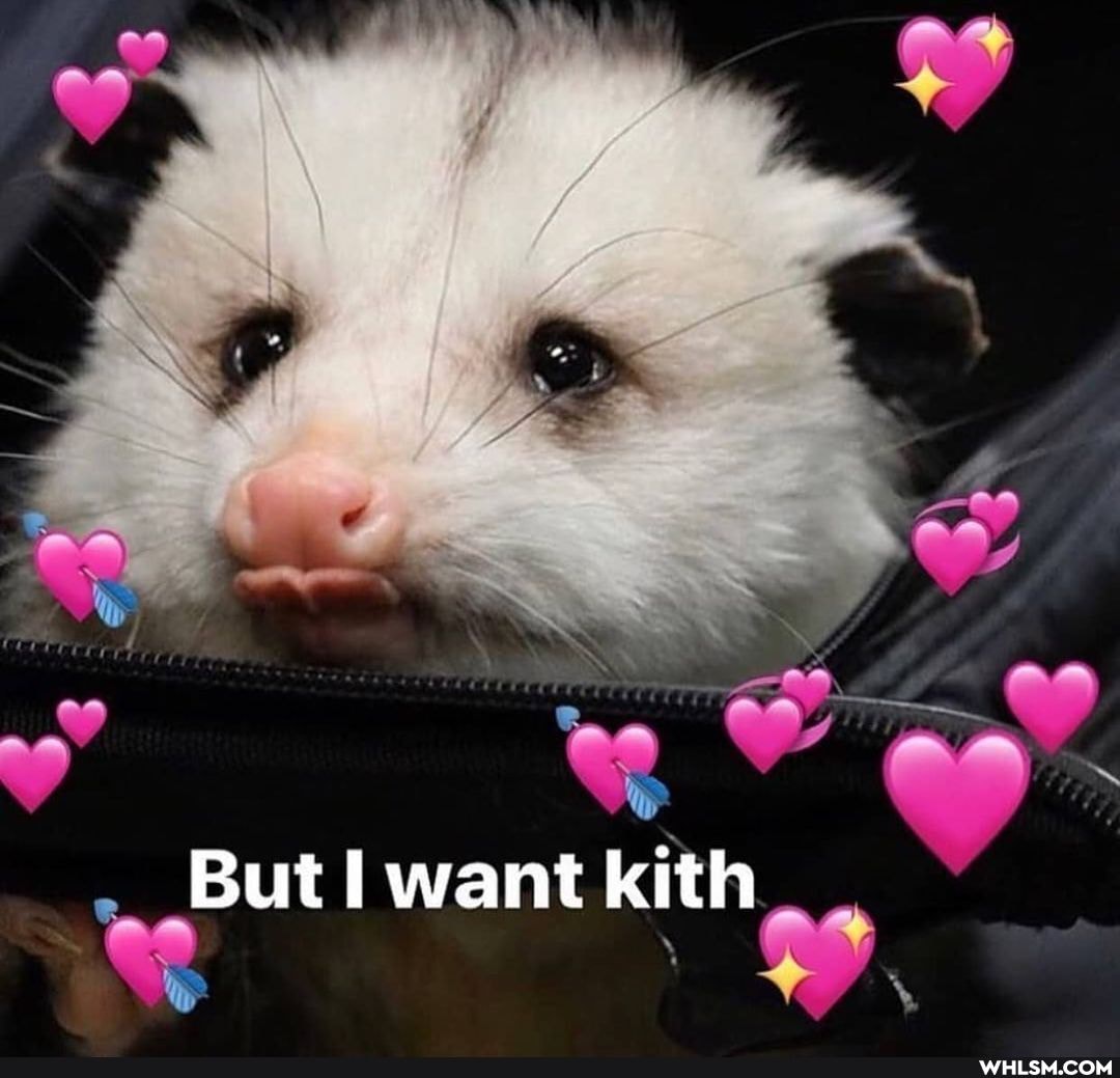 we
But I want kith