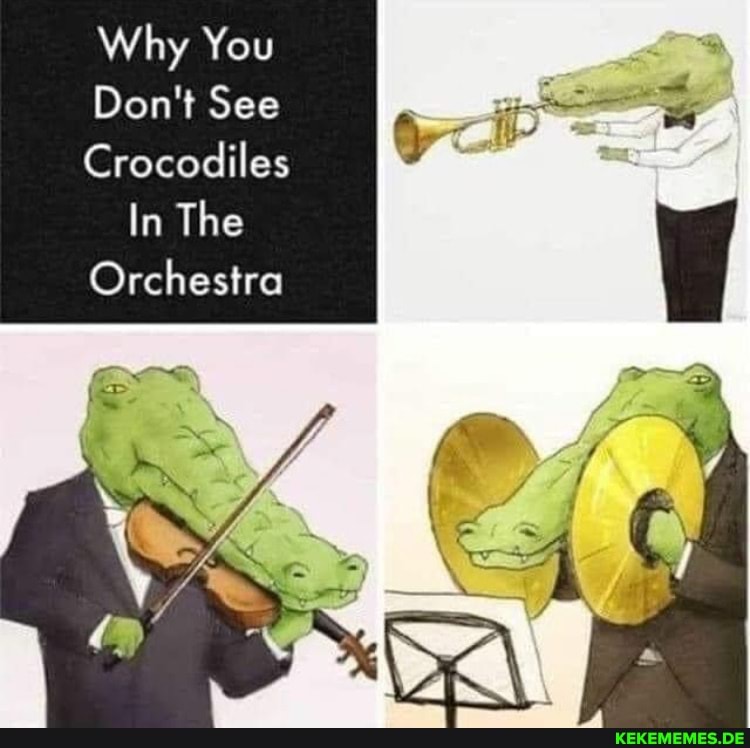 Why You Don't See Crocodiles In The Orchestra