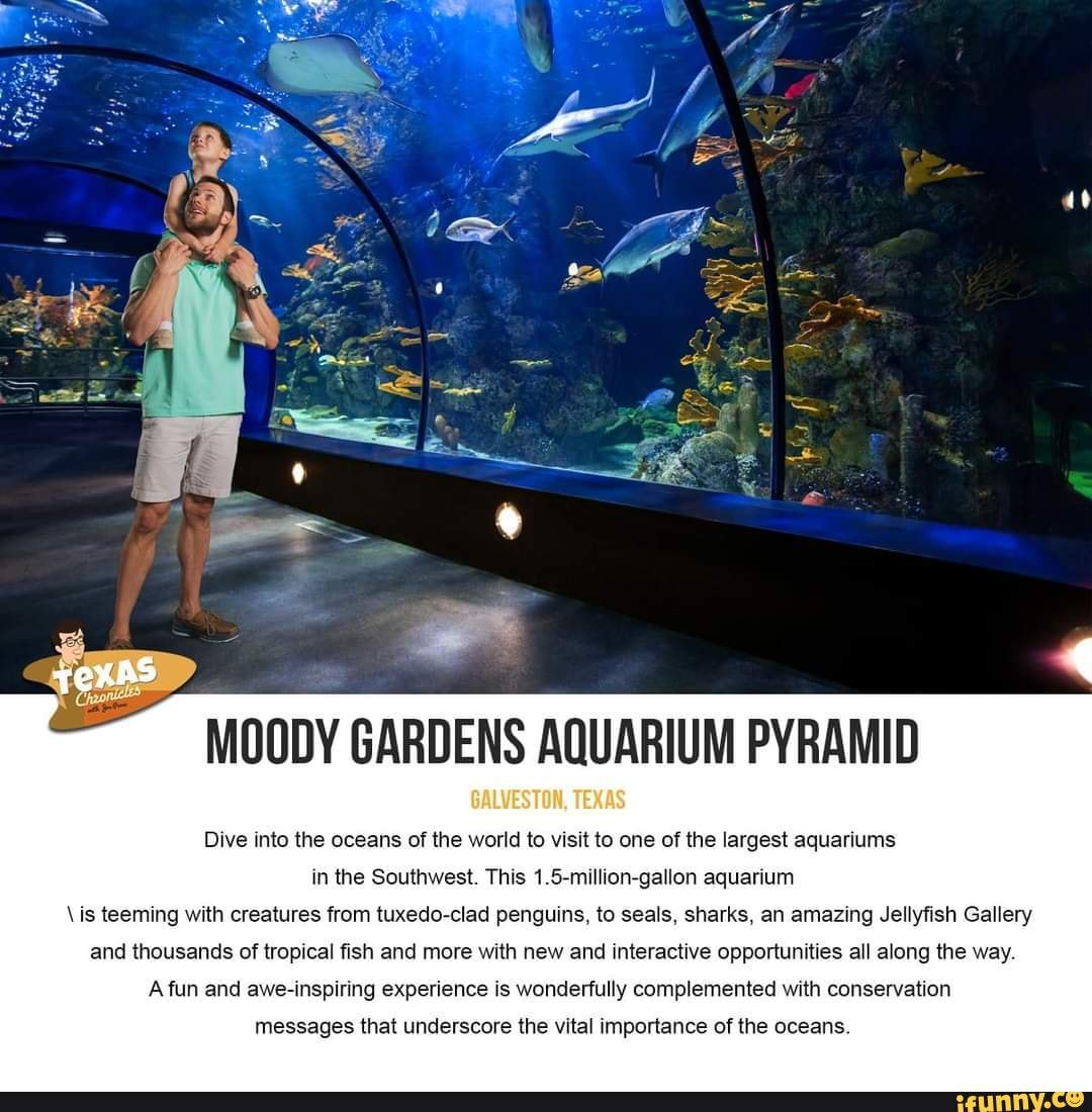 TEXAS pr MOODY GARDENS AQUARIUM PYRAMID Dive into the oceans of the world to visit to one of the