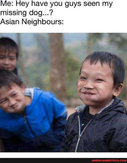 Me: Hey have you guys seen my missing dog...?
Asian Neighbours: