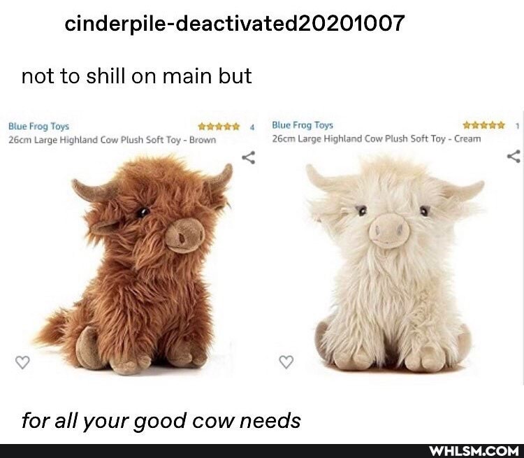 not to shill on main but
Blue Frog Toys Blue Frog Toys
26cm Large Highland Cow Plush Soft Toy - Brown 26cm Large Highland Cow Plush Soft Toy - Cream
for all your qood cow needs