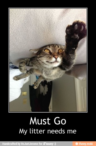 Must Go
My litter needs me - Must Go
My litter needs me
