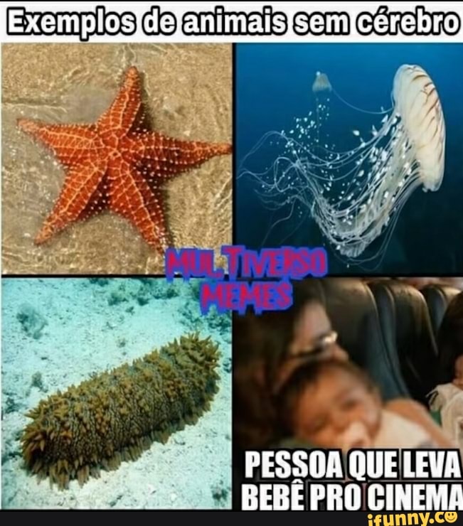 PESSOA QUE LEVA
a
BEBE PRO CINEMA