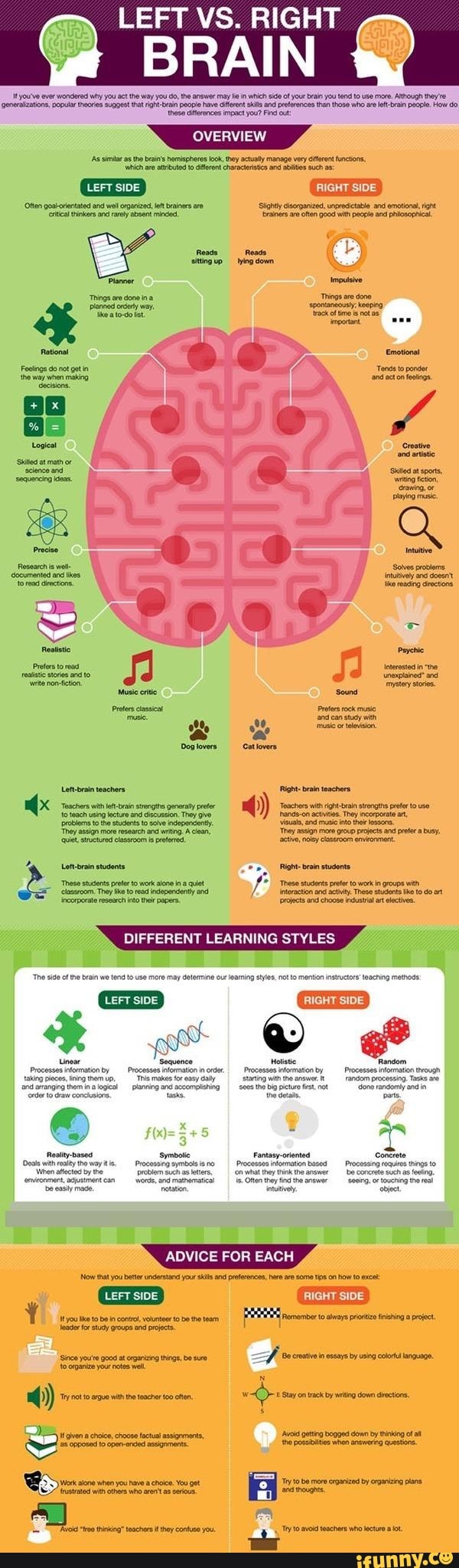 LEFT VS. RIGHT you've evee wondered why you atthe way you do, the may ...