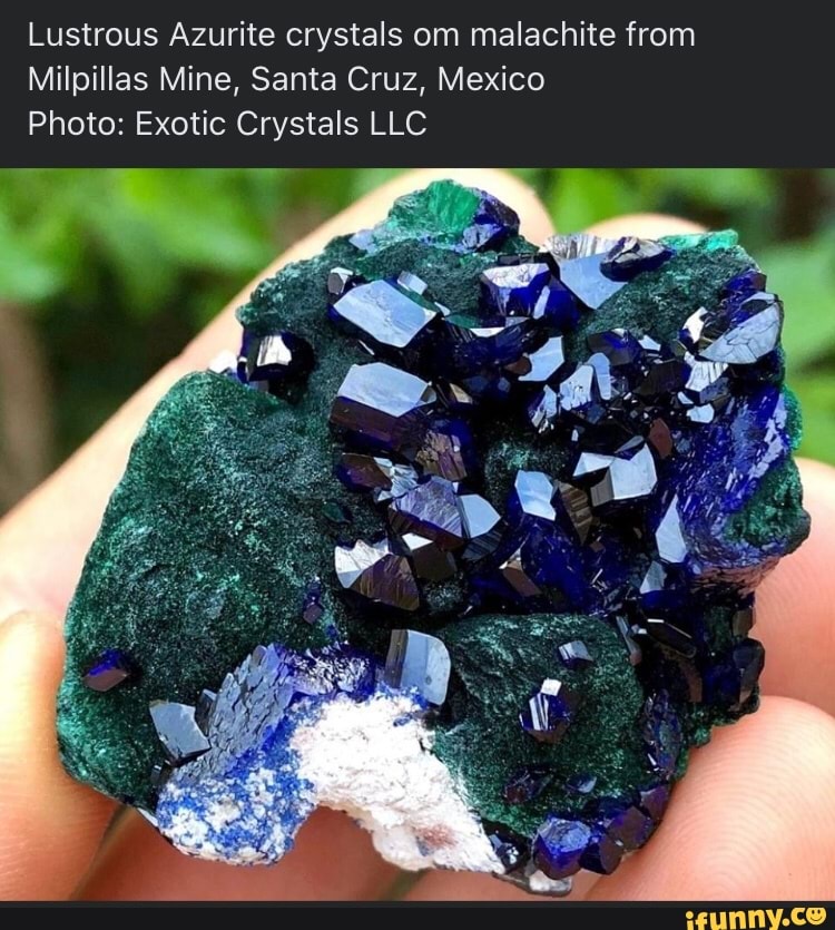 Lustrous Azurite crystals om malachite from Milpillas Mine, Santa Cruz