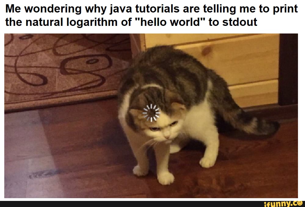 Me wondering why java tutorials are telling me to print the natural