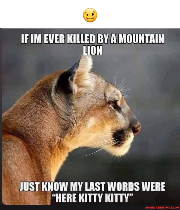 IF IM EVER KILLED BY A MOUNTAIN LION
JUST KNOW MY LAST WORDS WERE
"HERE KITTY KITTY"