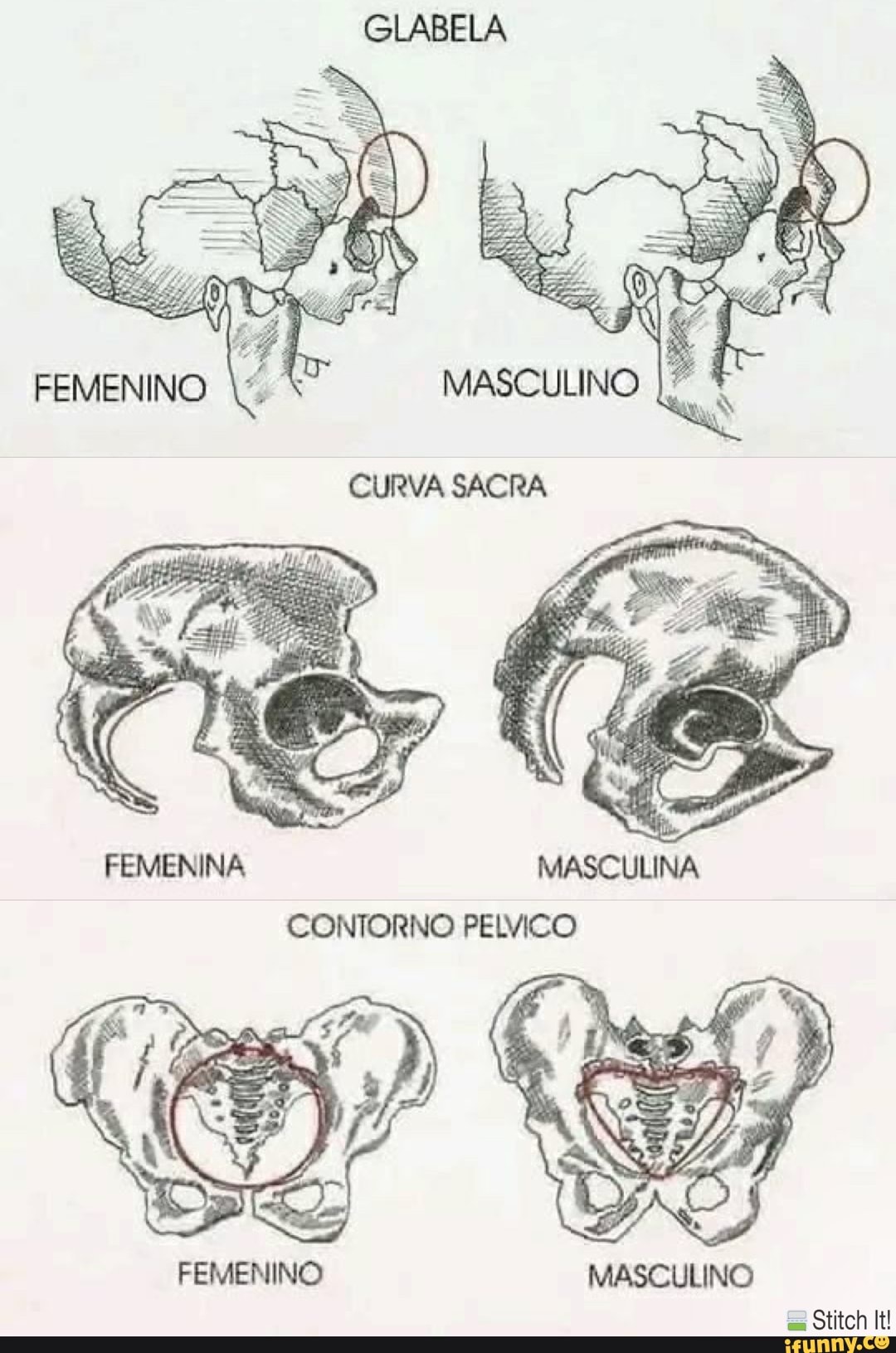 Jali #STOPokupas's Video on X, image size:1080x1631