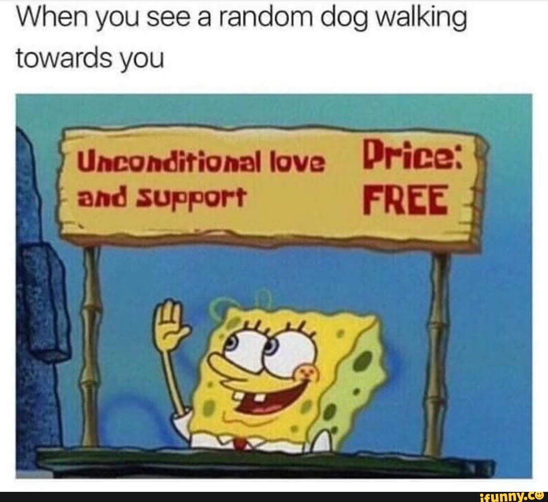 When you see a random dog walking
towards you