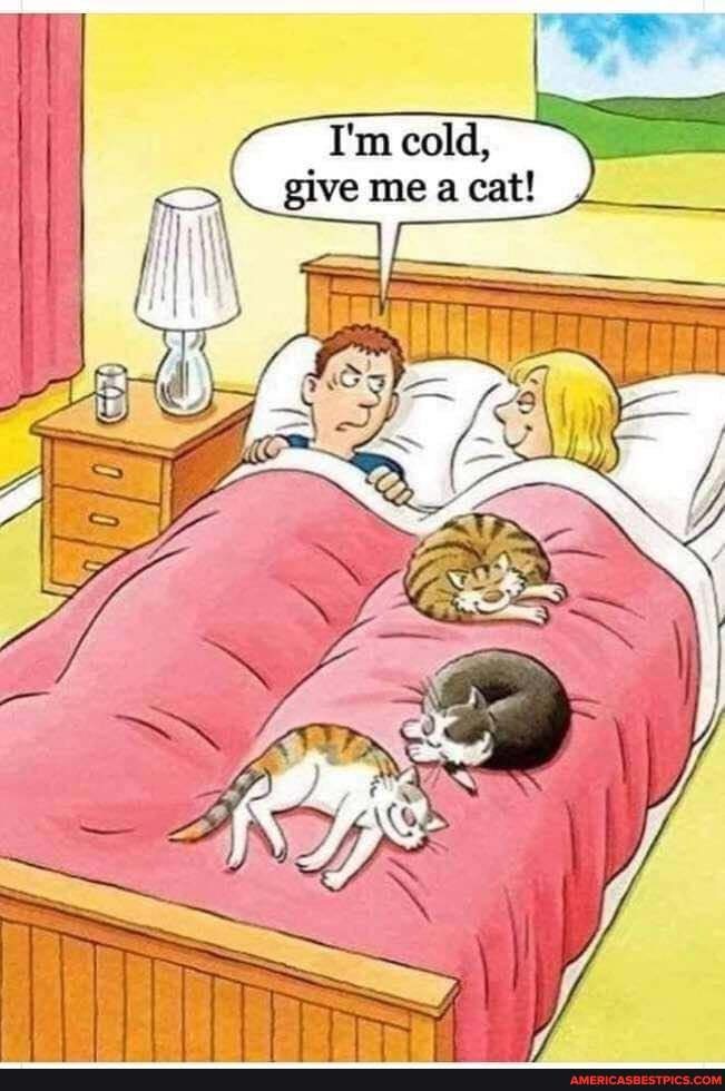 I'm cold, give me a cat!