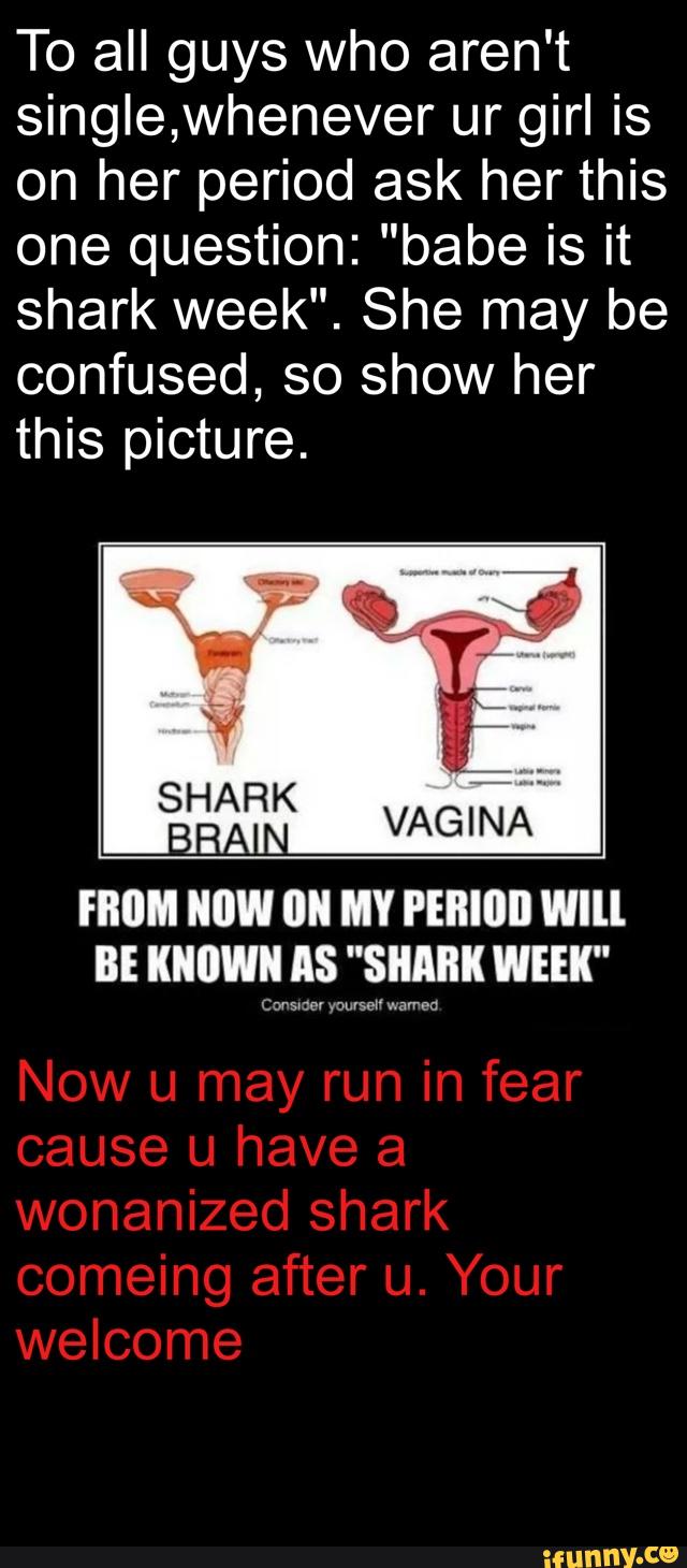 To all guys Who aren't
single,whenever ur girl is
on her period ask her this
one question: "babe is it
shark week". She may be
confused, so show her
this picture.
FIIIIM NOW 0" MY PEBIIIII Wlll
BE I(IIIIWN AS "SHARK WEEK"