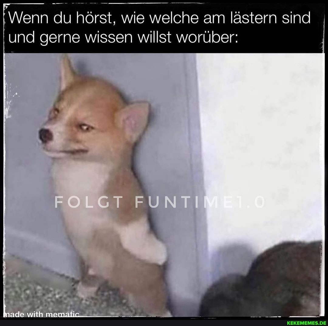 '\Nenn du hörst, wie welche am lästern sind und gerne wissen willst worüber:
ST FUN
EI.O