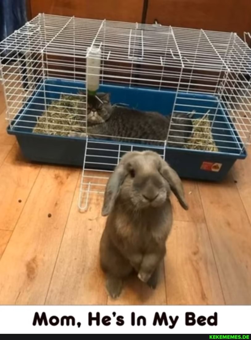 Mom, He's In My Bed