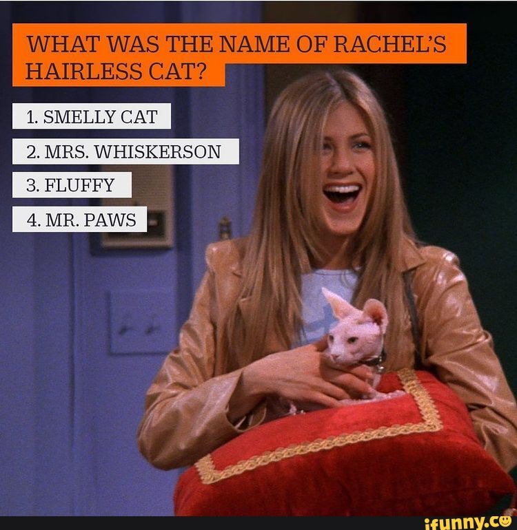 WHAT WAS THE NAME OF RACHEL'S HAIRLESS CAT? 1. SMELLY CAT 2. MRS