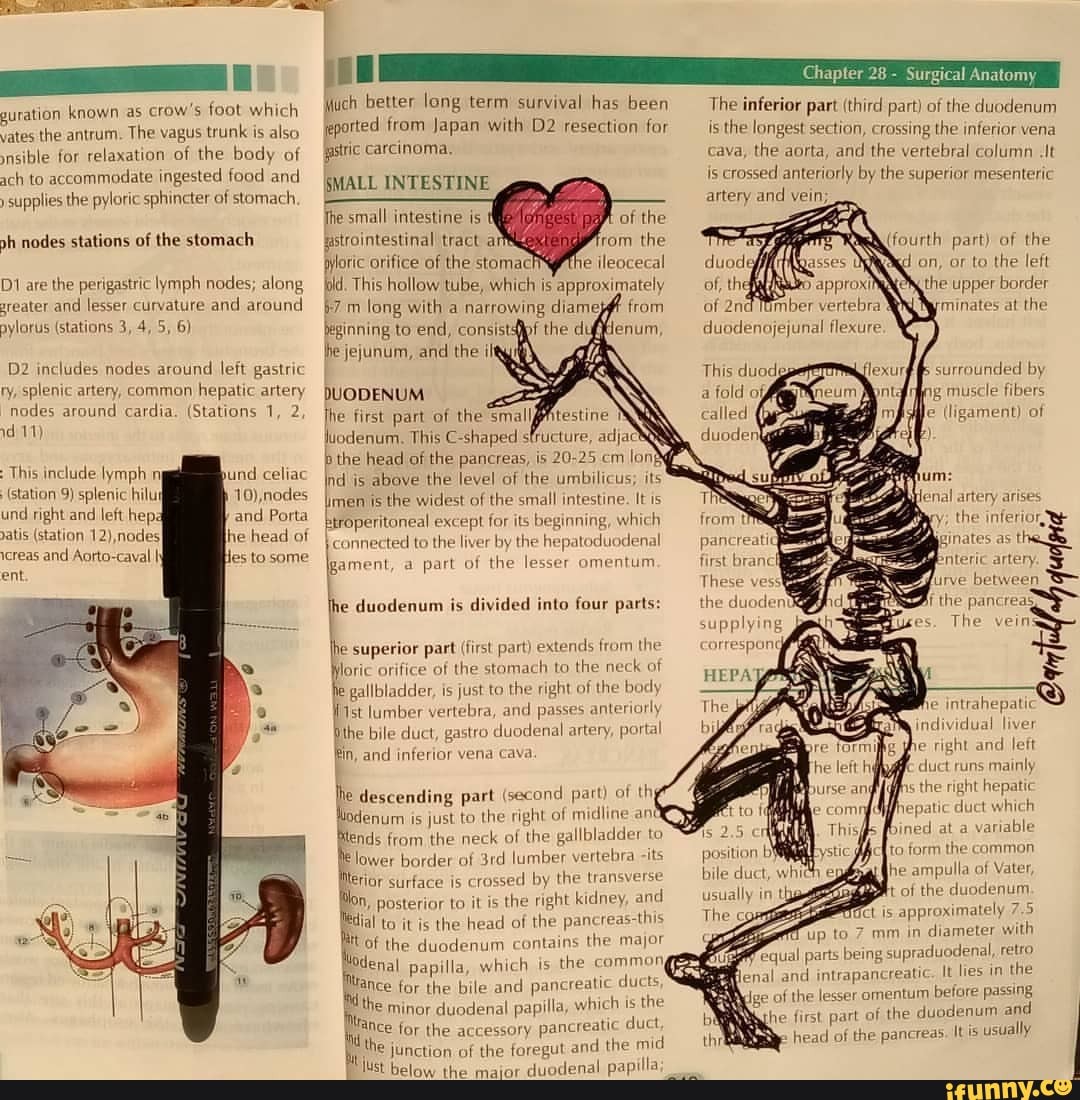 Antrum memes. Best Collection of funny Antrum pictures on iFunny