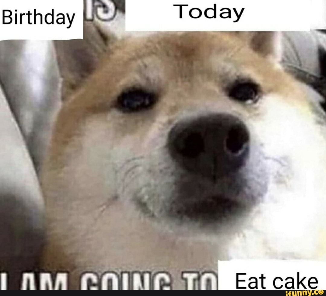 Birthday
oas) Eat cake