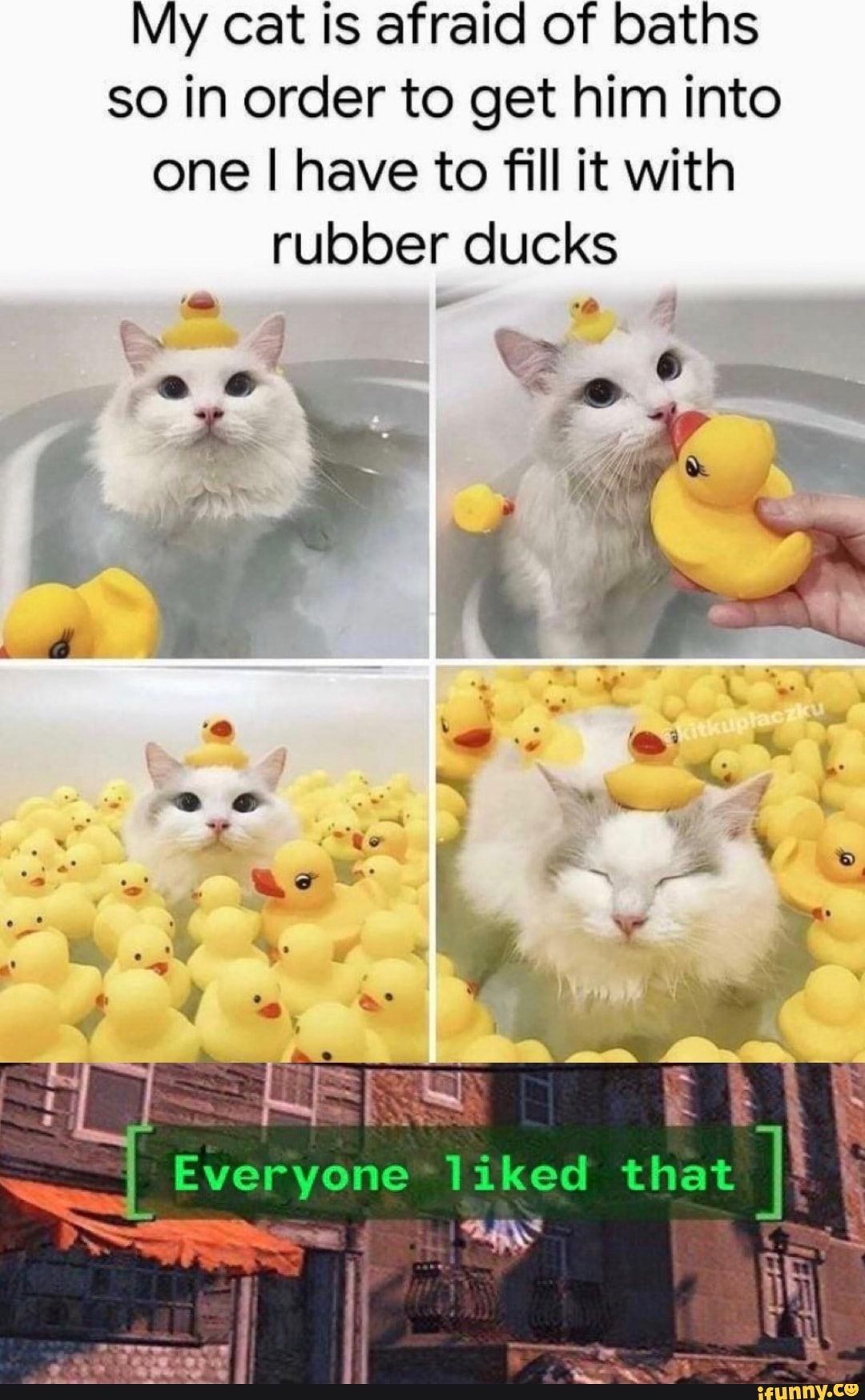 My cat is afraid of baths
so in order to get him into
one I have to fill it with
rubber ducks
Everyone*liked that
Pl K