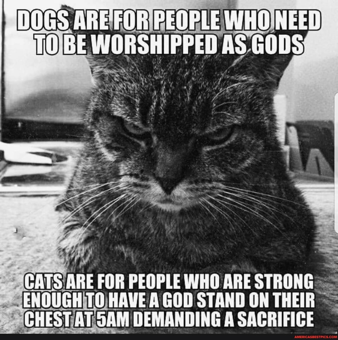 AGE
AS
ABE FOR PEOPLE WHO ARE STRONG-
ENOUGH GOD STAND ON THEIR AT DEMANDING A SACRIFICE